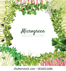 Healthy nutrition microgreens frame realistic isolated vector illustration
