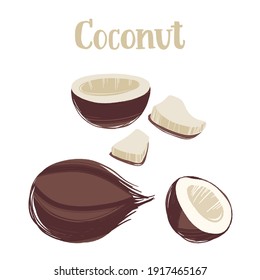 Healthy nutrition product. Coconut whole and half of nut. Vector hand drawn flat isolated illustration with lettering for your design on white background.