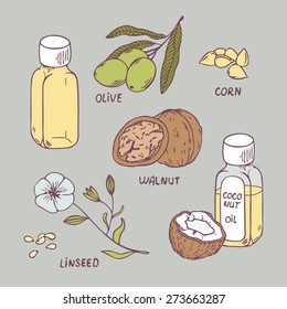 Healthy oil set. Coconut, walnut, olive, corn and linseed oil vector illustration