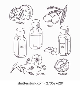 Healthy Oil Set In Outline Style. Coconut, Walnut, Olive, Corn And Linseed Oil Vector Illustration