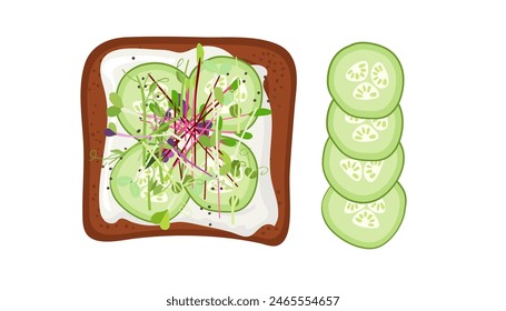Healthy Open Sandwich with cucumber, micro greens, soft ricotta cheese on toasted bread. Top view Vector for menu, cafe, restaurant, poster, banner, sticker. Delicious Healthy breakfast or snack