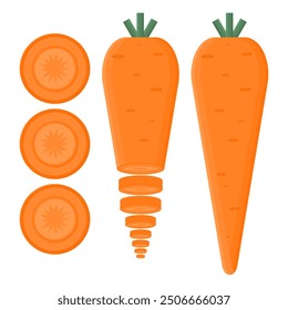 Healthy Orange Carrot Vector. Healthy Vegetable Delicious Carrot. Fresh and Cut Carrot.