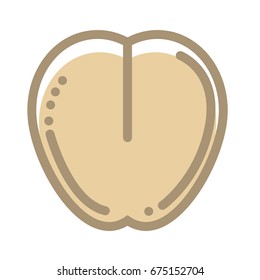 Healthy organic buckwheat sead isolated flat outline illustration