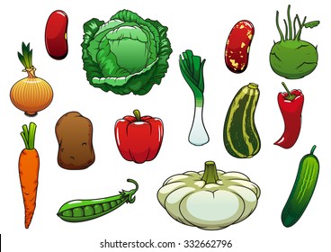 Healthy organic cabbage, carrot, pepper, potato, onion, cucumber, zucchini, pea, pattypan squash, leek, kohlrabi, common bean vegetables. For agriculture or vegetarian food themes design