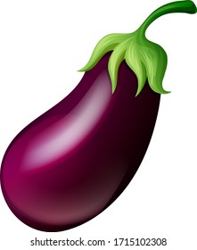 healthy organic Eggplant vector design