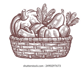 Healthy organic food. Fresh farm vegetables in a basket. Sketch vector illustration