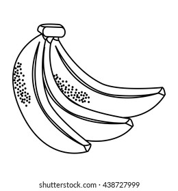 Healthy and organic food. fruit icon. vector graphic