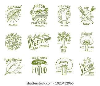 Healthy Organic food logos set or labels and elements for Vegetarian and Farm green natural vegetables products, vector illustration. badges healthy life. engraved hand drawn in old sketch.