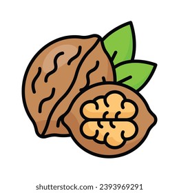 Healthy organic food, whole and peeled walnut vector design