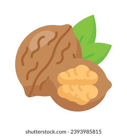 Healthy organic food, whole and peeled walnut vector design