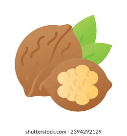 Healthy organic food, whole and peeled walnut vector design