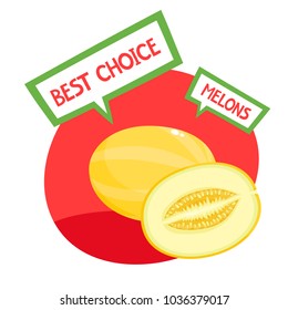 Healthy organic fruits badge of fresh farm melon with bubbles isolated on white background. Vector illustration of cartoon label used for magazine, poster, menu, web pages.