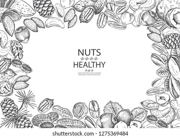 Nueces orgánicas sanas. Marco de ilustración del vector. Diseño de época con dibujo a mano. Estilo de línea artística.