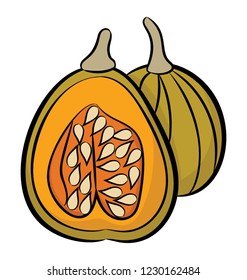 Healthy papaya fruit icon