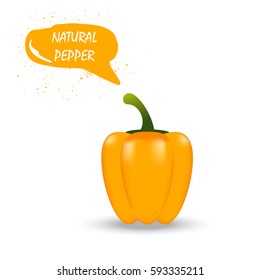 Healthy pepper isolated on white background, vegetables, vitamins and minerals. Quality vector illustration about diet, eco food, benefits of vegan and nutrition concept. 