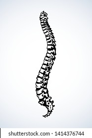 Healthy posture section diagnostic concept on white space for text. Outline black hand drawn hip leg logo emblem pictogram in doodle art vintage vector style. Analysis coccyx cure abstract side view