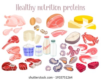 Healthy proteins products. Diet food concept. Meat, chicken, fish and seafood, eggs, dairy products.Vector hand drawn flat isolated illustration with dry brush texture for your design.