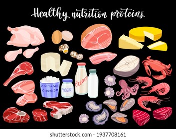 Healthy proteins products. Diet food concept. Meat, chicken, fish and seafood, eggs, dairy products.Vector hand drawn flat isolated illustration with dry brush texture for your design.