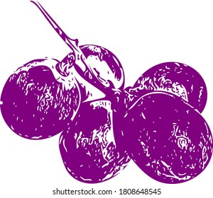 Vector de frutas de uvas moradas sanas