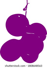 Healthy purple grapes fruit vector