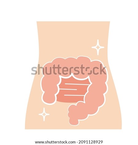 Healthy and reasonably clean intestines.