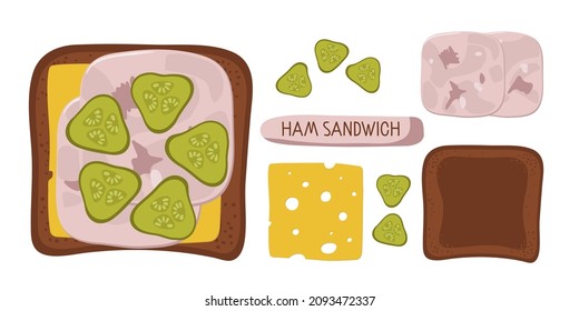 Healthy Sandwich with recipe ingredients, cheese, pickles, Ham slices. Top view of product on toast. Vector flat illustration, culinary Drawing Food, Healthy food concept. Healthy snack.