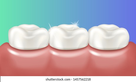 Healthy shiny teeth in pink gums. Vector 3d realistic medical illustration