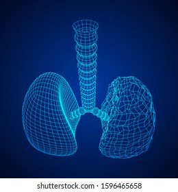 Healthy and sick lung with trachea bronchi internal organ human. Pulmonology medicine science technology concept. Wireframe low poly mesh vector illustration