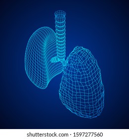 Healthy and sick lung with trachea bronchi internal organ human. Pulmonology medicine science technology concept. Wireframe low poly mesh vector illustration