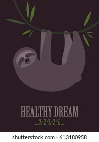 Healthy sleep. Sloth hanging on the liana