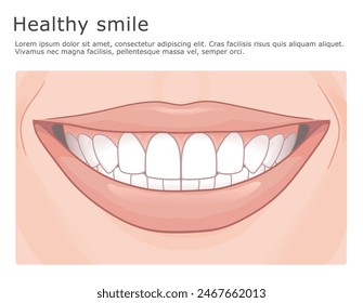 Gesundes Lächeln medizinische Illustration. Saubere weiße Zähne und gesunde Lippen. 