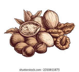 Healthy snack nutshell and nuts mix icon isolated