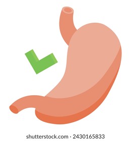 Vector isométrico del icono del estómago sano. Estado del equipo. Registro médico