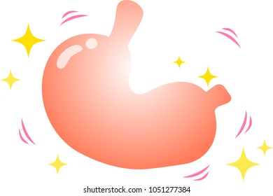 Healthy Stomach illustration