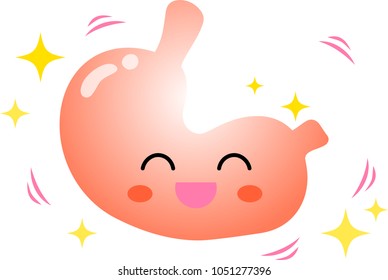 Healthy Stomach Nutrients