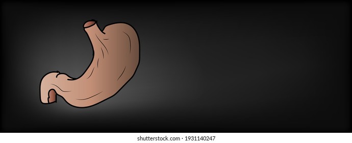 Healthy Stomach poster. Human healthy stomach recovery system medicine concept. Vector illustration.