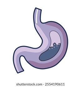 
Healthy stomach vector art illustration.