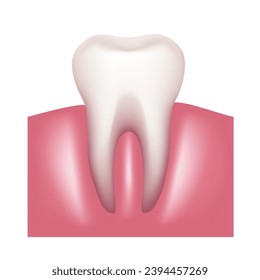 Dientes y dientes sanos con caries. Vector clipart.