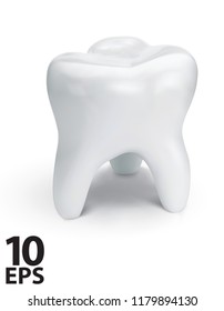 Healthy teeth for dentistry design. Vector 3d illustration