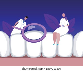 Healthy teeth, dentists, orthodontists. Flat vector stock illustration. Loupe, leaves, dentists. Vector illustration, healthy teeth. Concept of a dental clinic, dental services. Dental illustration