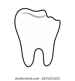 dentes saudáveis sobre fundo branco