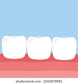 Healthy teeth set isolated on blue background .teeth in the gum, Healthy tooth concept vector illustration.Flat design style. Dental treatment in a dental clinic. Vector illustration.