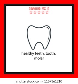 healthy teeth, tooth, molar vector icon