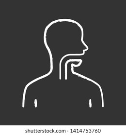 Healthy throat chalk icon. Oral cavity, pharynx and esophagus in good health. Upper section of alimentary canal. Internal body part. Gastrointestinal tract. Isolated vector chalkboard illustration