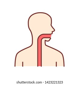 Healthy throat color icon. Oral cavity, pharynx and esophagus in good health. Upper section of alimentary canal. Internal body part in good shape. Gastrointestinal tract. Isolated vector illustration
