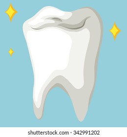 Healthy tooth in close up illustration