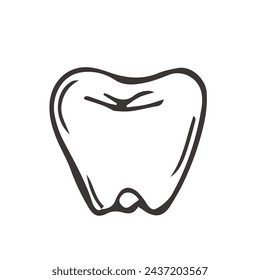 Healthy tooth hand drawn outline doodle icon.