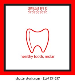 healthy tooth, molar vector icon