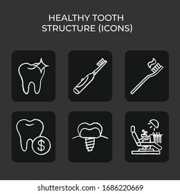Healthy tooth structure, electric toothbrush, dental service prices, implant, floss, dental chair. Isolated vector