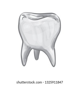 Healthy Tooth Vector Illustration